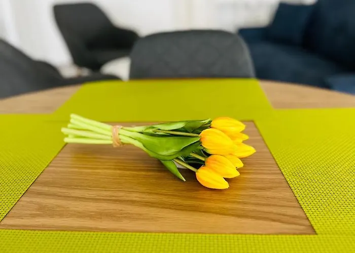 The View * 塞拉耶佛